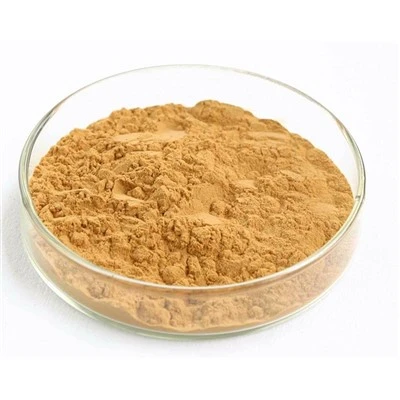 Extract de ginseng roșu