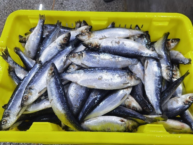 info-640-480 info-640-480